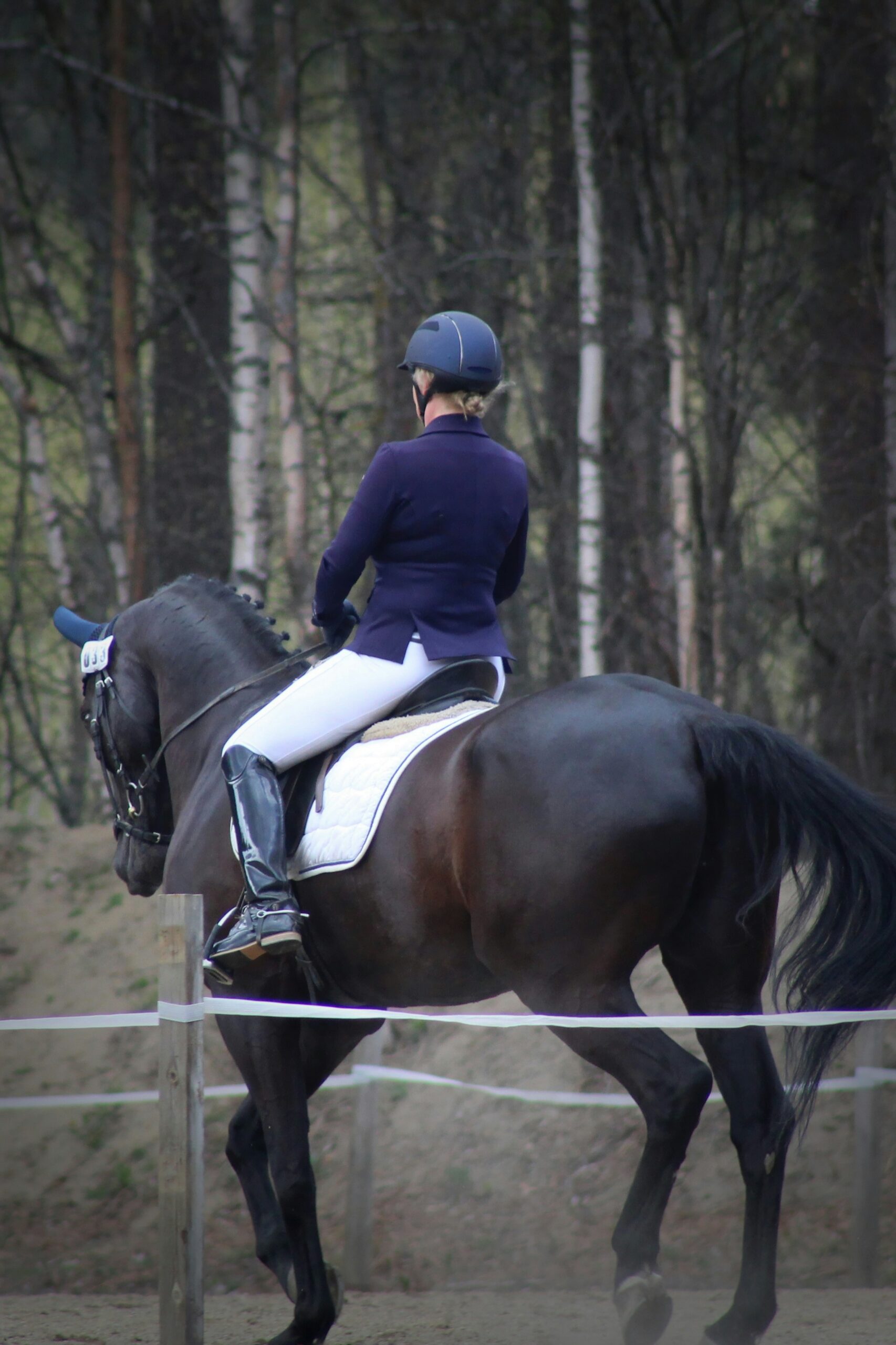 Rider on horse in woods