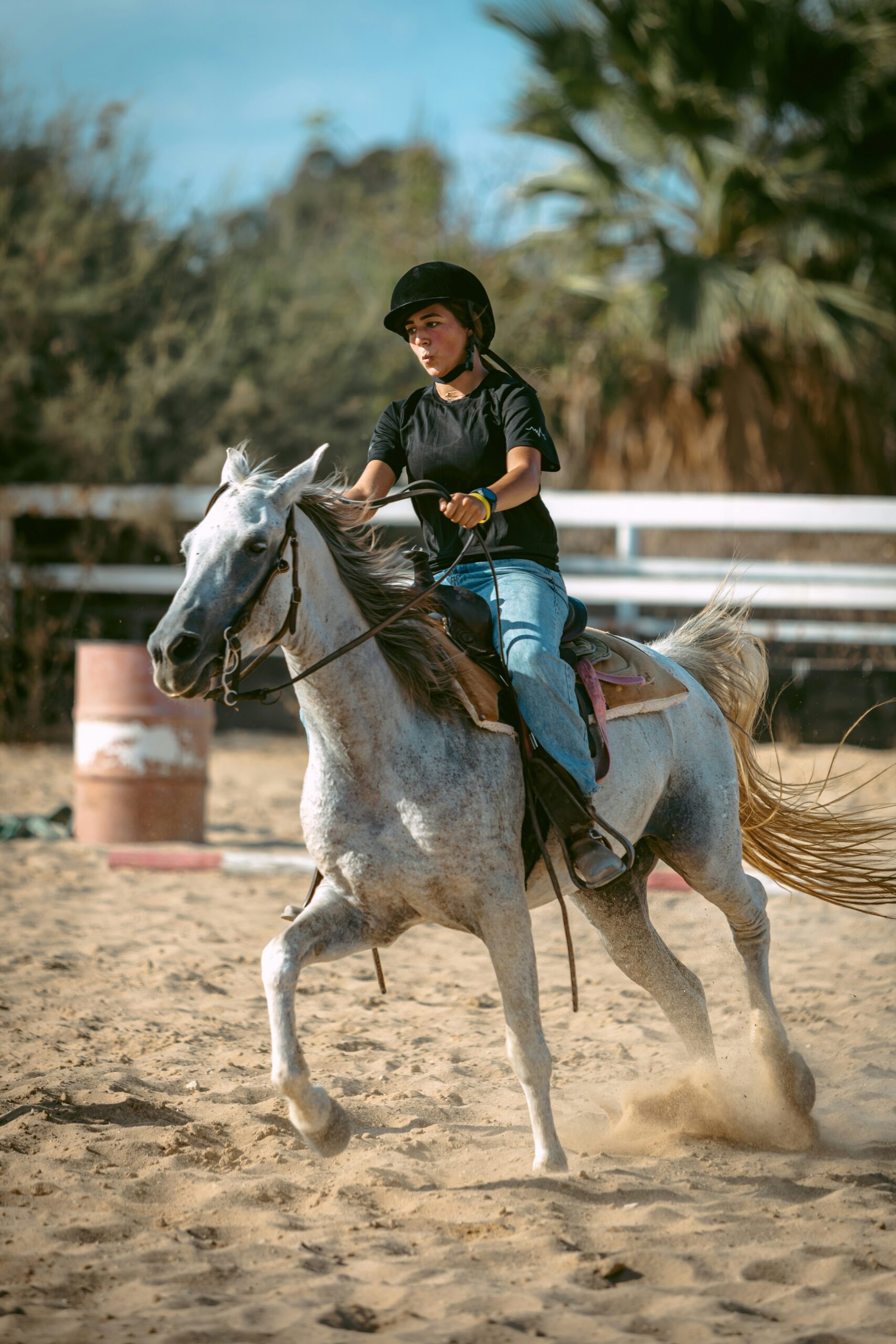 shoham-avisrur-80xV1fkI5_s-unsplash